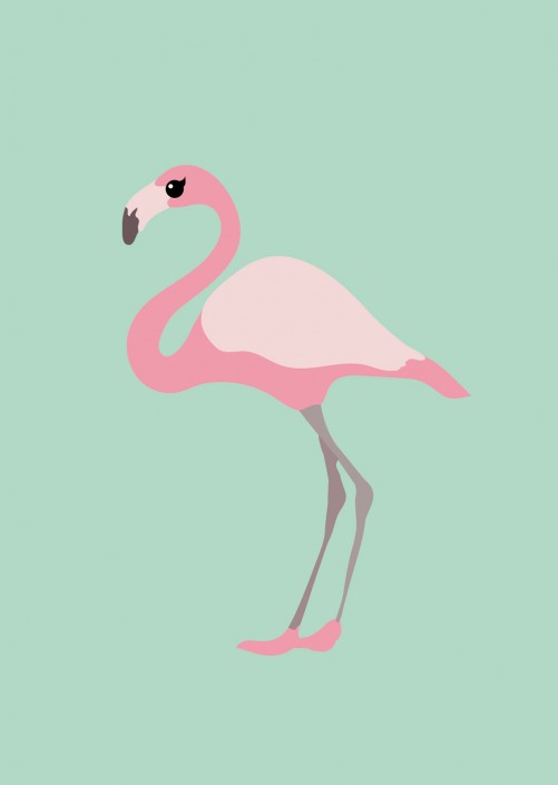 Poster Flamingo A3